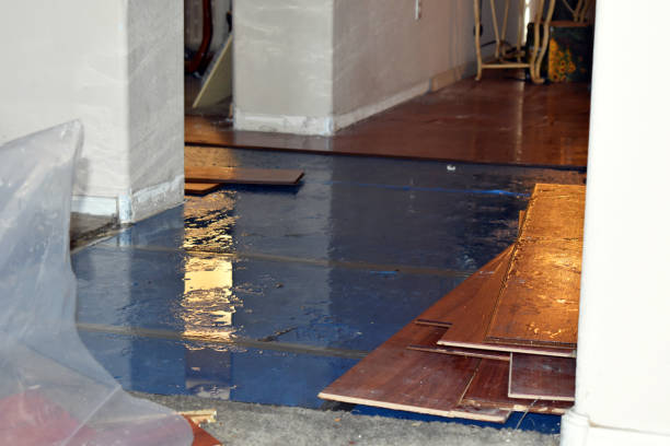 Professional Water Damage Repair technician working in Uniopolis, OH